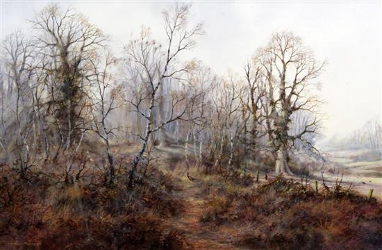 § Colin Burns (b.1944) Pheasant in woodland 23 x 35in.